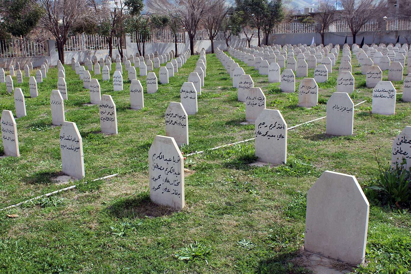 Tanıkların dilinden dinmeyen acı Halepçe Katliamı 1